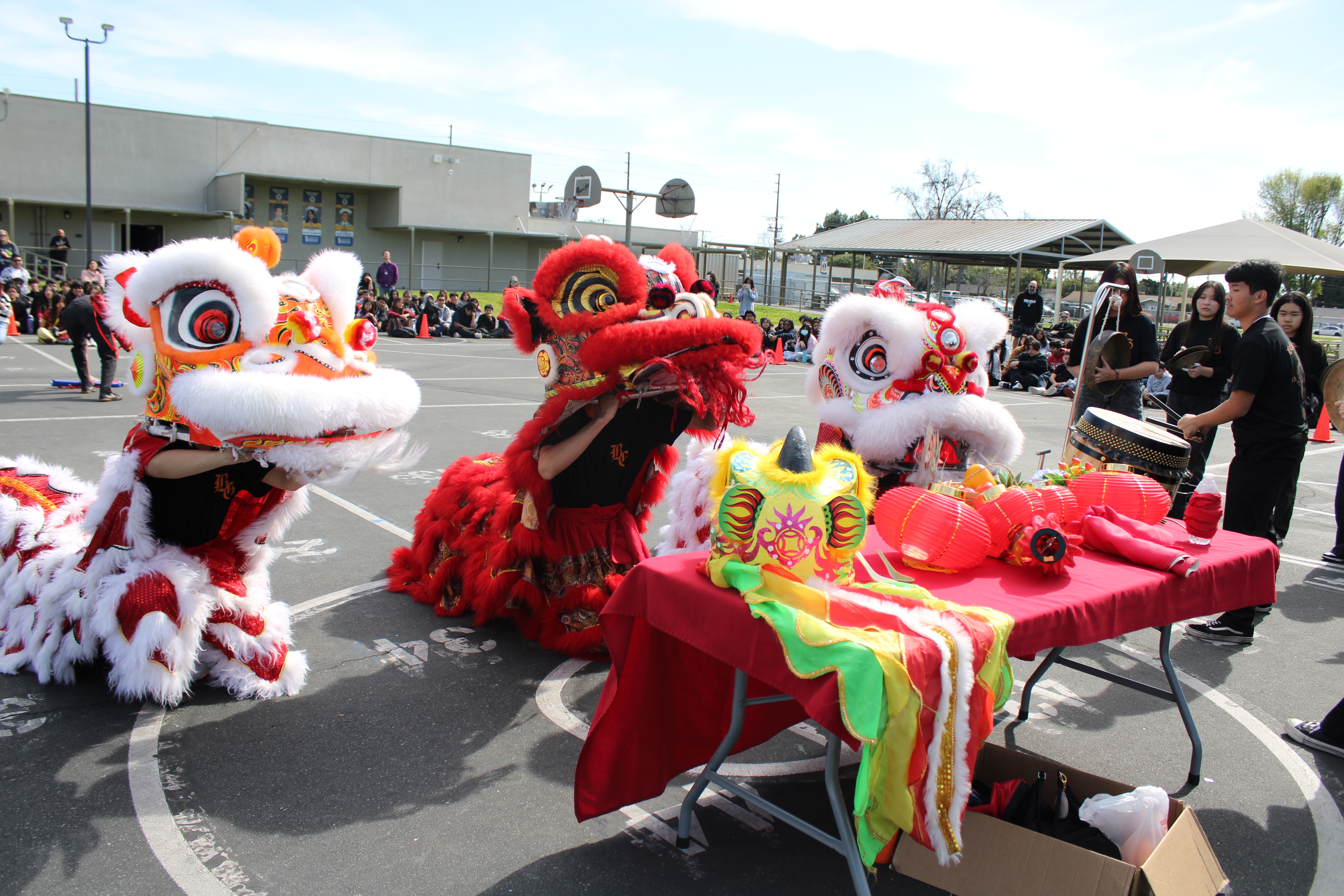 Lunar New Year Festivities