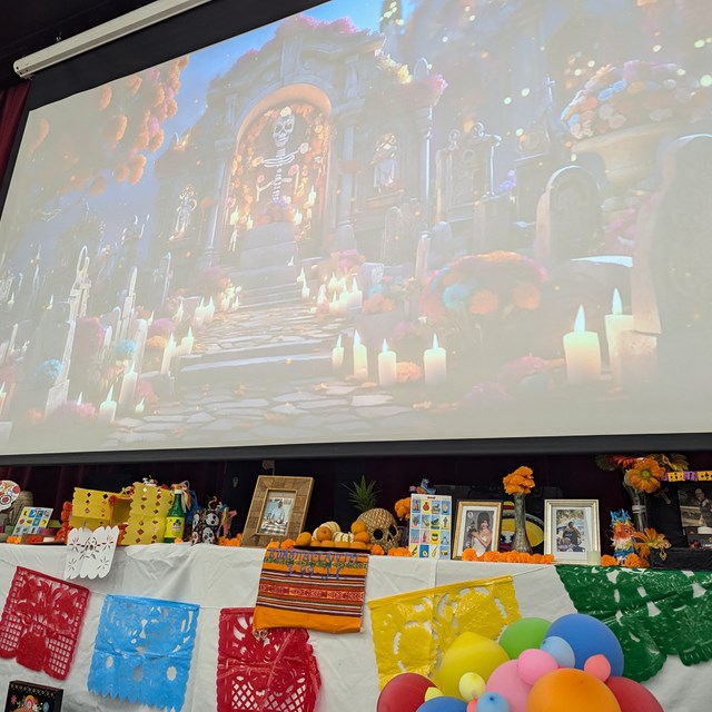 PXL_20241113_012818915