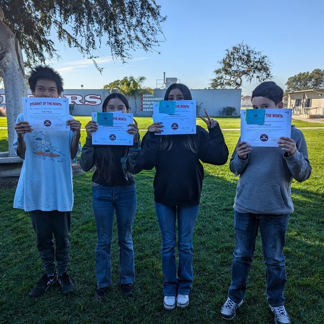 PXL_20241114_220846298.MP